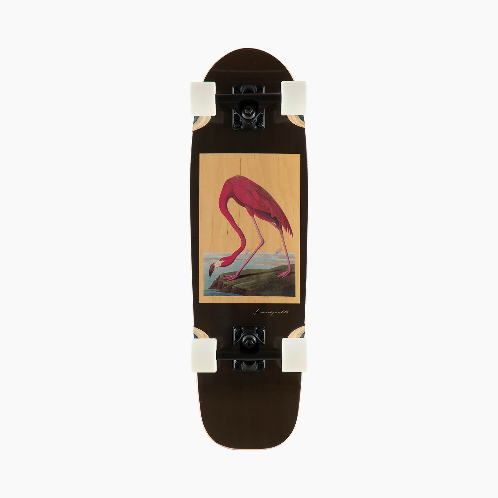 landyachtz fox longboard