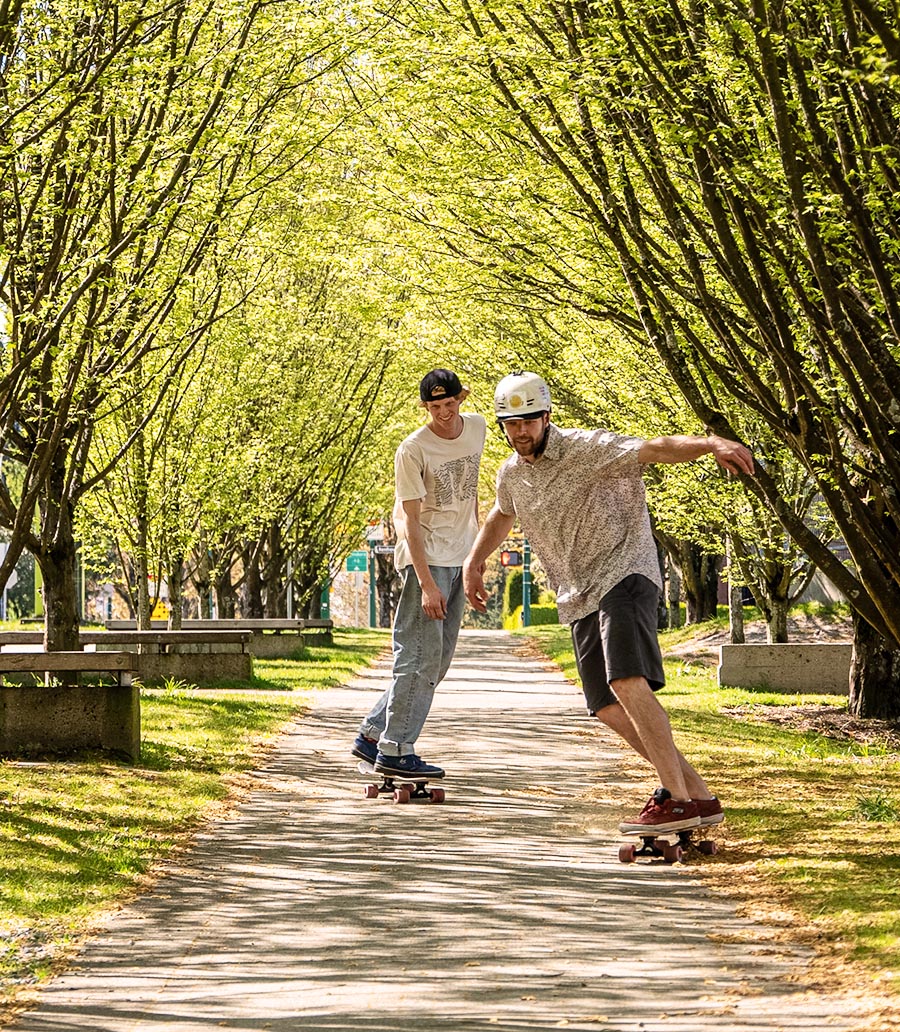 landyachtz longboards