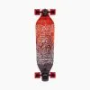 Evo 36 – Bear V4 1 WEB