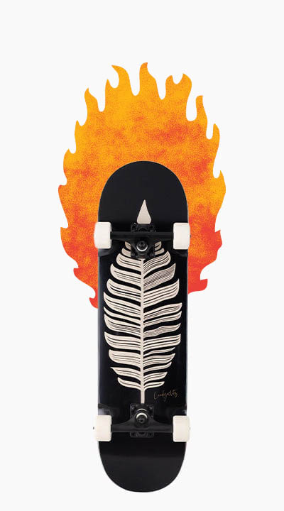 スケートボード　LANDYACHTZ クルーザー新品未使用、送料込み！ Landyachtz 26