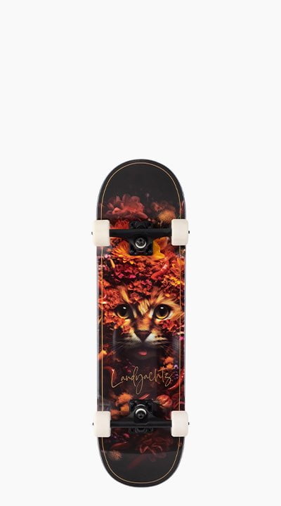 landyachtz order tracking